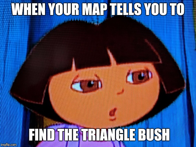 WHEN YOUR MAP TELLS YOU TO; FIND THE TRIANGLE BUSH | image tagged in dora cringe | made w/ Imgflip meme maker