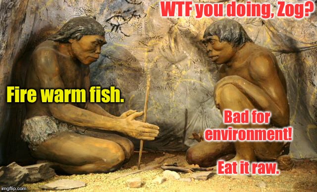 WTF you doing, Zog? Bad for environment!  Eat it raw. Fire warm fish. | made w/ Imgflip meme maker
