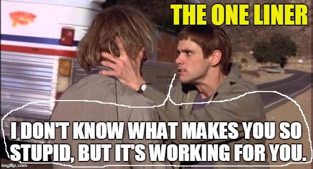 Dumb and Dumber | THE ONE LINER; I DON'T KNOW WHAT MAKES YOU SO STUPID, BUT IT'S WORKING FOR YOU. | image tagged in dumb and dumber | made w/ Imgflip meme maker