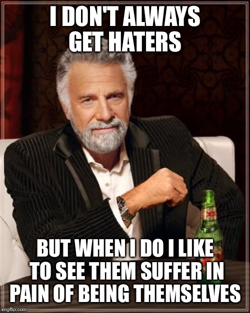 The Most Interesting Man In The World Meme | I DON'T ALWAYS GET HATERS BUT WHEN I DO I LIKE TO SEE THEM SUFFER IN PAIN OF BEING THEMSELVES | image tagged in memes,the most interesting man in the world | made w/ Imgflip meme maker