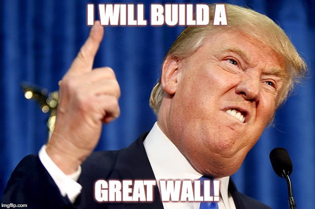 Donald Trump | I WILL BUILD A; GREAT WALL! | image tagged in donald trump | made w/ Imgflip meme maker