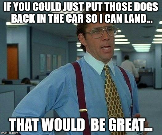 That Would Be Great Meme | IF YOU COULD JUST PUT THOSE DOGS BACK IN THE CAR SO I CAN LAND... THAT WOULD  BE GREAT... | image tagged in memes,that would be great | made w/ Imgflip meme maker