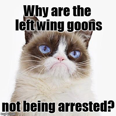 Why are left wing goons | Why are the left wing goons; not being arrested? | image tagged in grumpy cat white background,left wing,goons | made w/ Imgflip meme maker