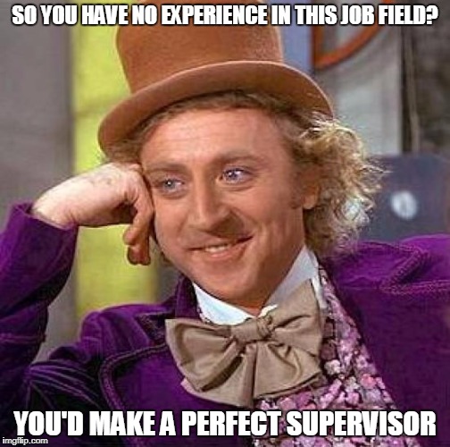 Wonka supervisor | SO YOU HAVE NO EXPERIENCE IN THIS JOB FIELD? YOU'D MAKE A PERFECT SUPERVISOR | image tagged in memes,creepy condescending wonka,supervisor | made w/ Imgflip meme maker