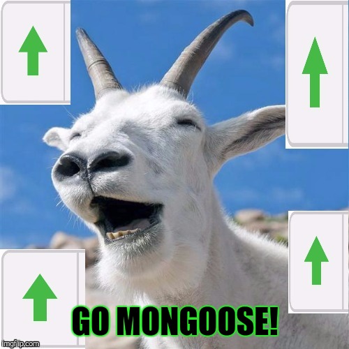 GO MONGOOSE! | made w/ Imgflip meme maker