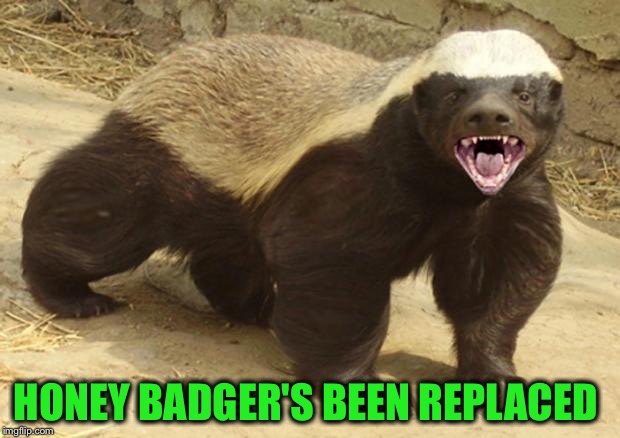HONEY BADGER'S BEEN REPLACED | made w/ Imgflip meme maker
