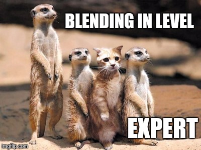 BLENDING IN LEVEL EXPERT | made w/ Imgflip meme maker