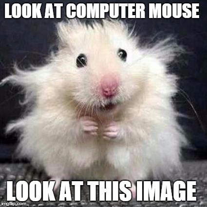 Stressed Mouse | LOOK AT COMPUTER MOUSE; LOOK AT THIS IMAGE | image tagged in stressed mouse | made w/ Imgflip meme maker
