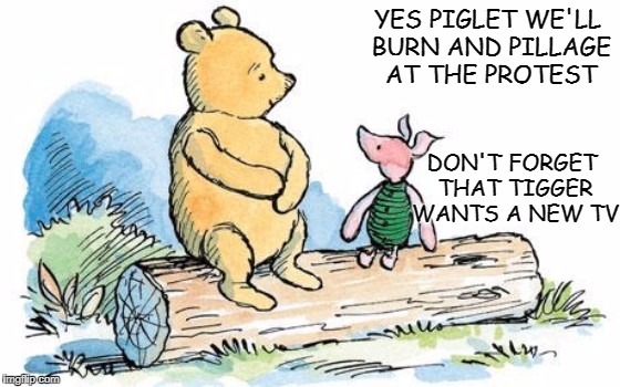 winnie the pooh and piglet | YES PIGLET WE'LL BURN AND PILLAGE AT THE PROTEST; DON'T FORGET THAT TIGGER WANTS A NEW TV | image tagged in winnie the pooh and piglet | made w/ Imgflip meme maker