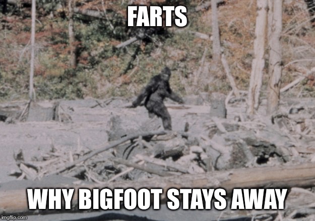 FARTS WHY BIGFOOT STAYS AWAY | made w/ Imgflip meme maker