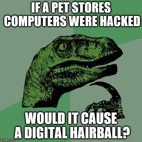 Philosoraptor Meme | IF A PET STORES COMPUTERS WERE HACKED; WOULD IT CAUSE A DIGITAL HAIRBALL? | image tagged in memes,philosoraptor | made w/ Imgflip meme maker