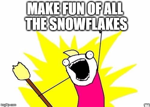 X All The Y Meme | MAKE FUN OF ALL THE SNOWFLAKES; YAS | image tagged in memes,x all the y | made w/ Imgflip meme maker