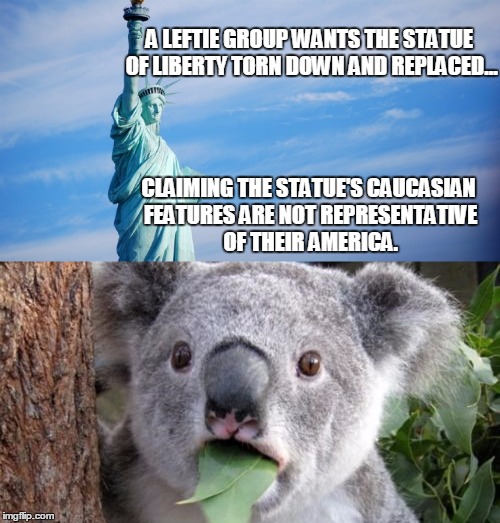 And The Left Opened the Pandora's Box For the Hundredth Time.... | A LEFTIE GROUP WANTS THE STATUE OF LIBERTY TORN DOWN AND REPLACED... CLAIMING THE STATUE'S CAUCASIAN FEATURES ARE NOT REPRESENTATIVE OF THEIR AMERICA. | image tagged in funny,liberals,statue,koala | made w/ Imgflip meme maker