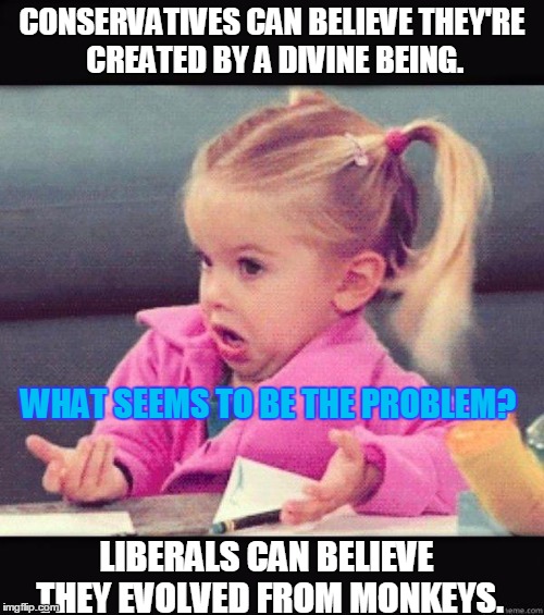 Can't We All Just Get Along? | CONSERVATIVES CAN BELIEVE THEY'RE CREATED BY A DIVINE BEING. WHAT SEEMS TO BE THE PROBLEM? LIBERALS CAN BELIEVE THEY EVOLVED FROM MONKEYS. | image tagged in funny,shrug,conservative,liberals,evolution,creationism | made w/ Imgflip meme maker