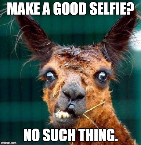 No Such Thing as a Good Selfie | MAKE A GOOD SELFIE? NO SUCH THING. | image tagged in selfie,selfies,bathroom selfies,ugly woman,ugly girl | made w/ Imgflip meme maker