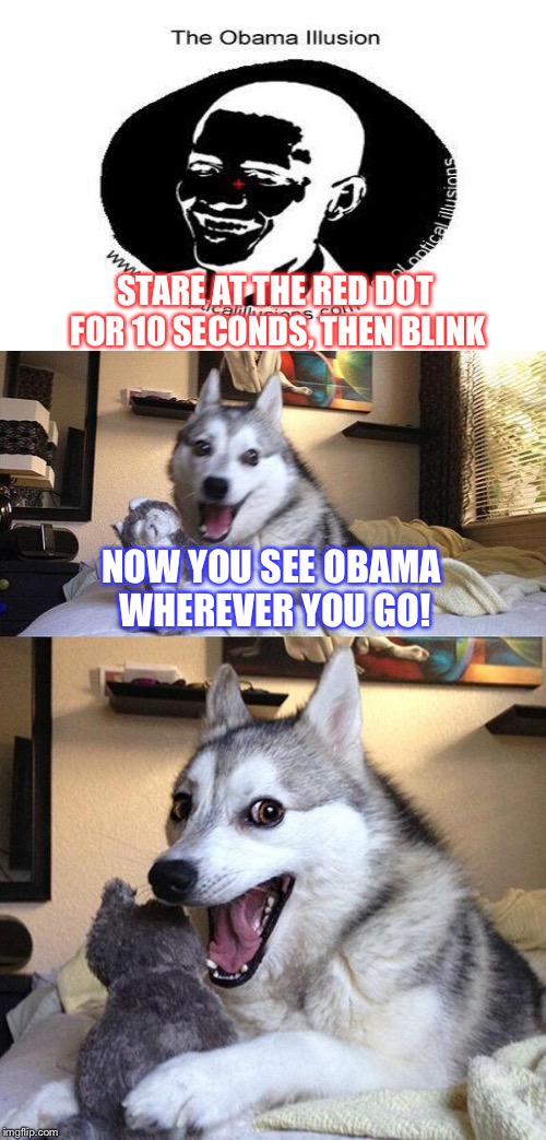 Bad Pun Dog | STARE AT THE RED DOT FOR 10 SECONDS, THEN BLINK; NOW YOU SEE OBAMA WHEREVER YOU GO! | image tagged in memes,bad pun dog | made w/ Imgflip meme maker