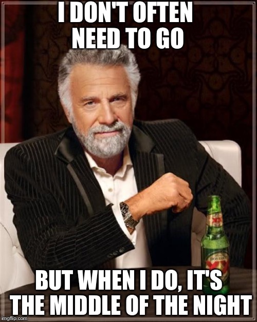 The Most Interesting Man In The World Meme | I DON'T OFTEN NEED TO GO BUT WHEN I DO, IT'S THE MIDDLE OF THE NIGHT | image tagged in memes,the most interesting man in the world | made w/ Imgflip meme maker