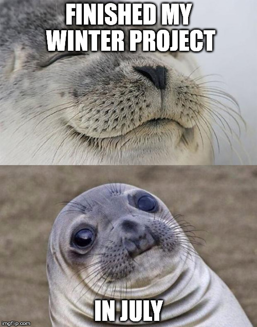 Short Satisfaction VS Truth Meme | FINISHED MY WINTER PROJECT; IN JULY | image tagged in memes,short satisfaction vs truth | made w/ Imgflip meme maker