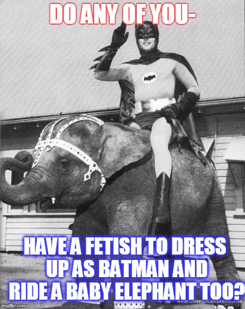 you are sooo stoned | DO ANY OF YOU-; HAVE A FETISH TO DRESS UP AS BATMAN AND RIDE A BABY ELEPHANT TOO? | image tagged in you are sooo stoned | made w/ Imgflip meme maker