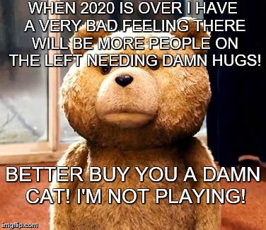 TED ....BUY YOU A CAT! | WHEN 2020 IS OVER I HAVE A VERY BAD FEELING THERE WILL BE MORE PEOPLE ON THE LEFT NEEDING DAMN HUGS! BETTER BUY YOU A DAMN CAT! I'M NOT PLAYING! | image tagged in memes,ted,no hugs | made w/ Imgflip meme maker