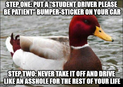 it's the perfect excuse! | STEP ONE: PUT A "STUDENT DRIVER PLEASE BE PATIENT" BUMPER-STICKER ON YOUR CAR; STEP TWO: NEVER TAKE IT OFF AND DRIVE LIKE AN ASSHOLE FOR THE REST OF YOUR LIFE | image tagged in memes,malicious advice mallard,bad drivers | made w/ Imgflip meme maker