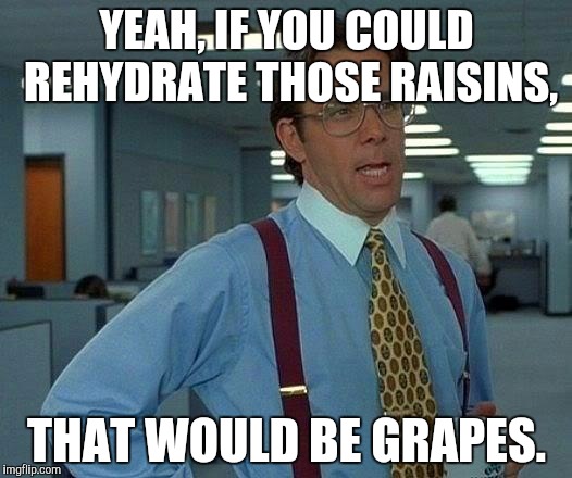 That Would Be Great Meme | YEAH, IF YOU COULD REHYDRATE THOSE RAISINS, THAT WOULD BE GRAPES. | image tagged in memes,that would be great | made w/ Imgflip meme maker