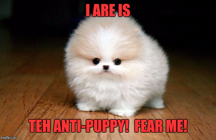 Try me! | I ARE IS; TEH ANTI-PUPPY!  FEAR ME! | image tagged in derp doge,memes,funny,funny memes,dank memes | made w/ Imgflip meme maker