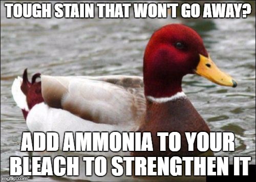 Malicious Advice Mallard Meme | TOUGH STAIN THAT WON'T GO AWAY? ADD AMMONIA TO YOUR BLEACH TO STRENGTHEN IT | image tagged in memes,malicious advice mallard | made w/ Imgflip meme maker