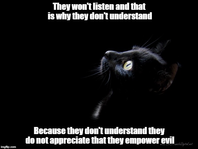 They won't listen so they won't understand.  They don't understand so they don't appreciate that they empower evil. | They won't listen and that is why they don't understand; Because they don't understand they do not appreciate that they empower evil | image tagged in cats | made w/ Imgflip meme maker