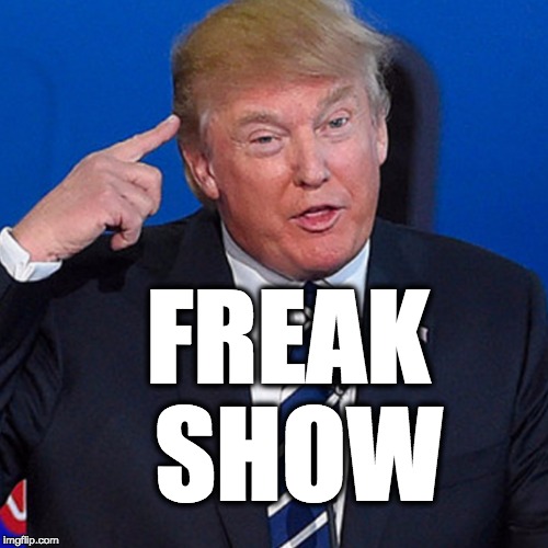 freak show | FREAK SHOW | image tagged in donald trump,trump,maga | made w/ Imgflip meme maker