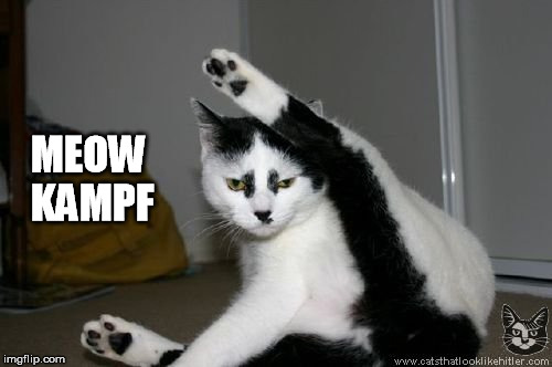 MEOW KAMPF | made w/ Imgflip meme maker