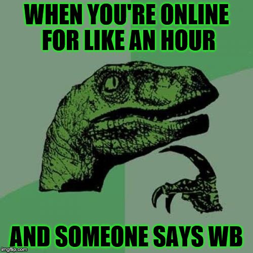 Philosoraptor Meme | WHEN YOU'RE ONLINE FOR LIKE AN HOUR; AND SOMEONE SAYS WB | image tagged in memes,philosoraptor | made w/ Imgflip meme maker