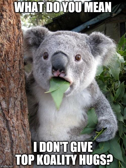 Surprised Koala | WHAT DO YOU MEAN; I DON'T GIVE TOP KOALITY HUGS? | image tagged in memes,surprised koala | made w/ Imgflip meme maker