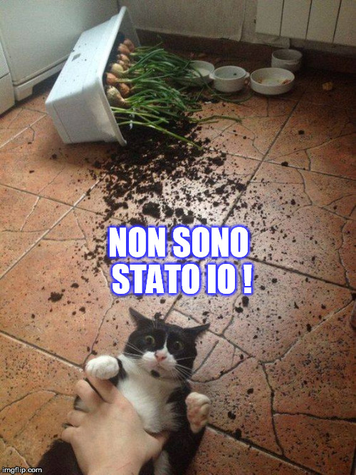 NON SONO STATO IO ! | made w/ Imgflip meme maker