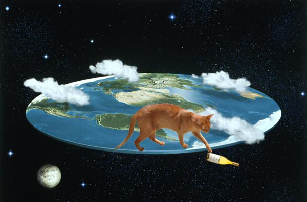 cat on flat earth Blank Meme Template