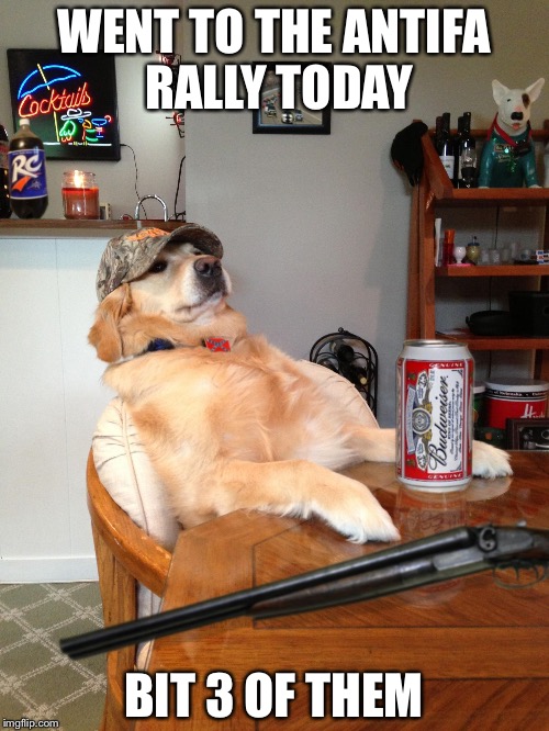 redneck retriever | WENT TO THE ANTIFA RALLY TODAY; BIT 3 OF THEM | image tagged in redneck retriever | made w/ Imgflip meme maker