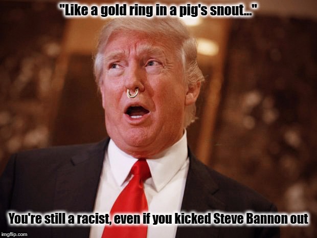 You are still a racist! | image tagged in steve bannon,donald trump,racist,kkk,nazis,resist | made w/ Imgflip meme maker