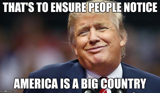 Trump Oopsie | THAT'S TO ENSURE PEOPLE NOTICE AMERICA IS A BIG COUNTRY | image tagged in trump oopsie | made w/ Imgflip meme maker