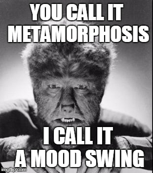 YOU CALL IT METAMORPHOSIS; I CALL IT A MOOD SWING | image tagged in wolfman,mood | made w/ Imgflip meme maker