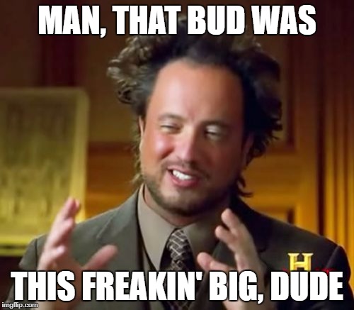 Ancient Aliens Meme | MAN, THAT BUD WAS; THIS FREAKIN' BIG, DUDE | image tagged in memes,ancient aliens | made w/ Imgflip meme maker