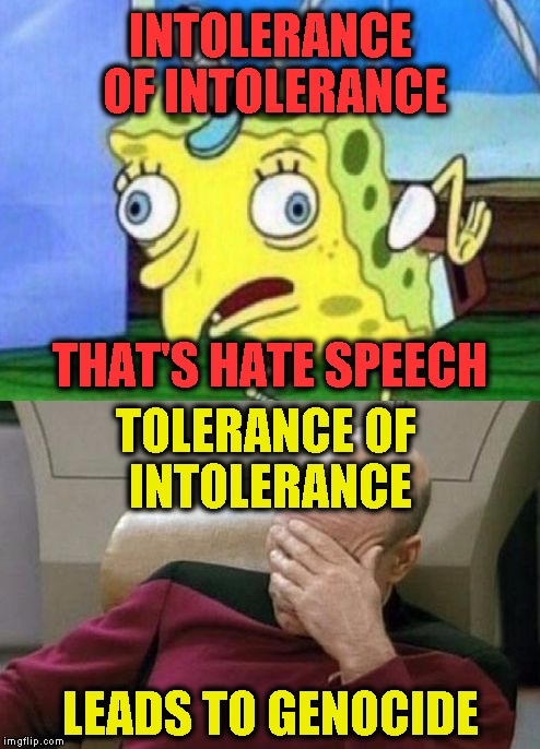 History Much? | INTOLERANCE OF INTOLERANCE; THAT'S HATE SPEECH; TOLERANCE OF INTOLERANCE; LEADS TO GENOCIDE | image tagged in stupid-picard | made w/ Imgflip meme maker