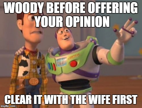 X, X Everywhere Meme | WOODY BEFORE OFFERING YOUR OPINION CLEAR IT WITH THE WIFE FIRST | image tagged in memes,x x everywhere | made w/ Imgflip meme maker