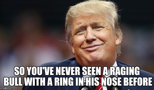 Trump Oopsie | SO YOU'VE NEVER SEEN A RAGING BULL WITH A RING IN HIS NOSE BEFORE | image tagged in trump oopsie | made w/ Imgflip meme maker