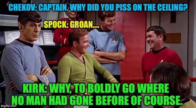 #ThingsNeverSaidOnStarTrek | CHEKOV: CAPTAIN, WHY DID YOU PISS ON THE CEILING? SPOCK: GROAN.... KIRK: WHY, TO BOLDLY GO WHERE NO MAN HAD GONE BEFORE OF COURSE. | image tagged in star trek,piss,ceiling,captain kirk,mr spock,joke | made w/ Imgflip meme maker
