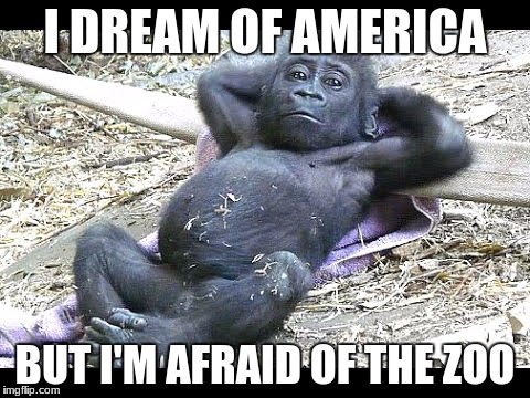 Monkey Dreamer | I DREAM OF AMERICA; BUT I'M AFRAID OF THE ZOO | image tagged in america,zoo,monkey,american dream | made w/ Imgflip meme maker