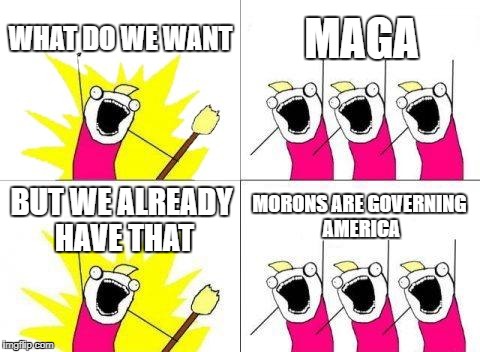 What Do We Want | WHAT DO WE WANT; MAGA; MORONS ARE GOVERNING AMERICA; BUT WE ALREADY HAVE THAT | image tagged in memes,what do we want | made w/ Imgflip meme maker