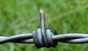 Barbed Wire Flipping The Bird Blank Meme Template