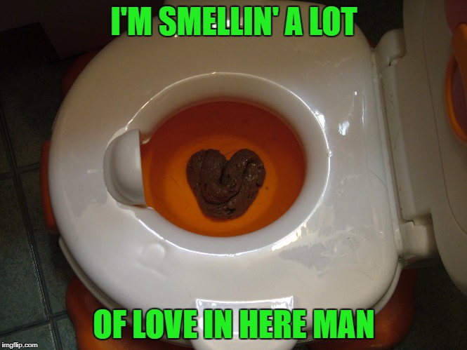 I'll bet all that love clogged the toilet! | I'M SMELLIN' A LOT; OF LOVE IN HERE MAN | image tagged in heart shaped turd,memes,smell the love,funny,turd humor,love | made w/ Imgflip meme maker