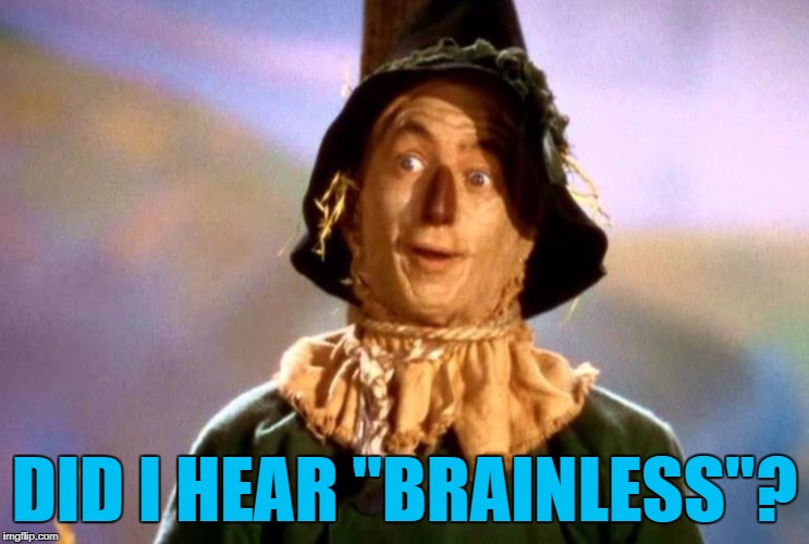 DID I HEAR "BRAINLESS"? | made w/ Imgflip meme maker