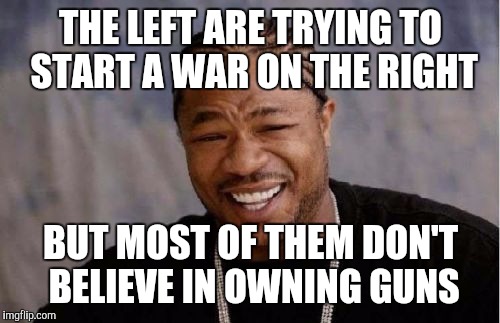 Yo Dawg Heard You Meme | THE LEFT ARE TRYING TO START A WAR ON THE RIGHT BUT MOST OF THEM DON'T BELIEVE IN OWNING GUNS | image tagged in memes,yo dawg heard you | made w/ Imgflip meme maker